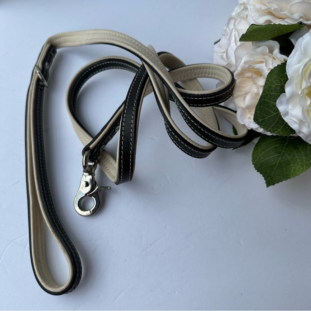 Martha Stewart Dog‎ Leash 73”